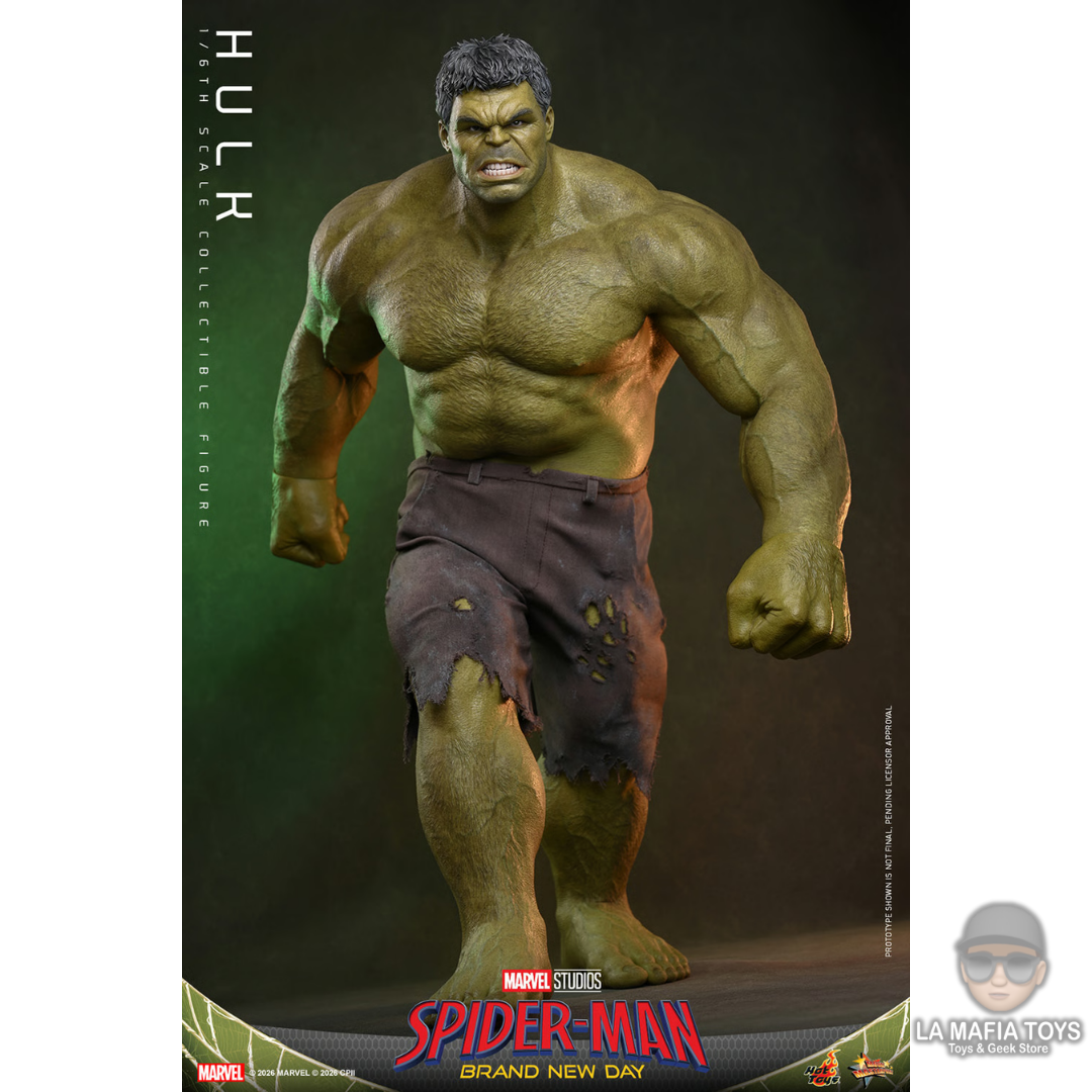 Hot Toys Hulk Brand New Day