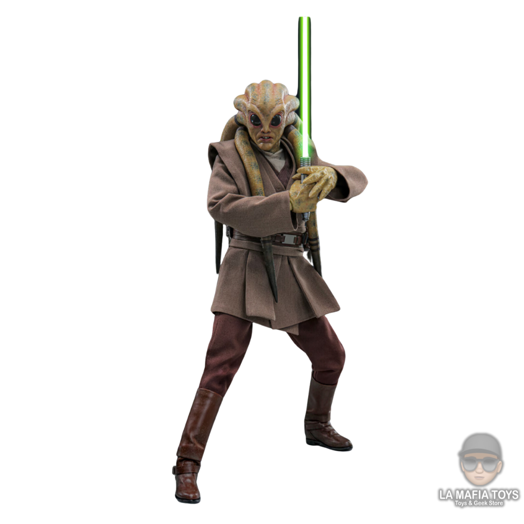 Hot Toys Kit Fisto Star Wars