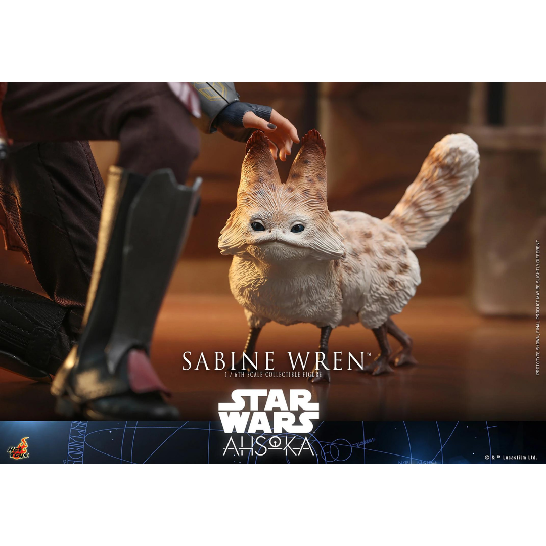 Figure Star Wars Hot Toys Ahsoka Sabine Wren Sideshow