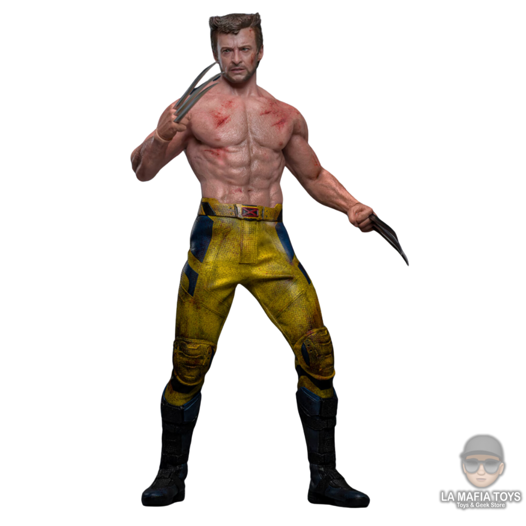 Hot Toys Wolverine (Tva Jacket version) Deadpool