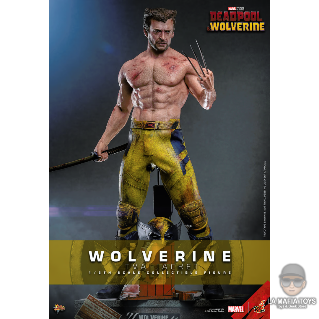 Hot Toys Wolverine (Tva Jacket version) Deadpool