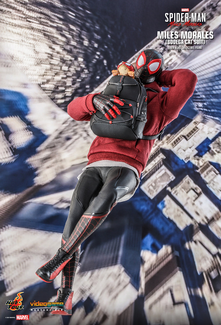 Hot Toys Spider-Man Miles Molerales (Bodega Cat Suit)