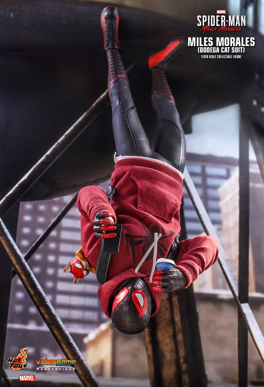 Hot Toys Spider-Man Miles Molerales (Bodega Cat Suit)