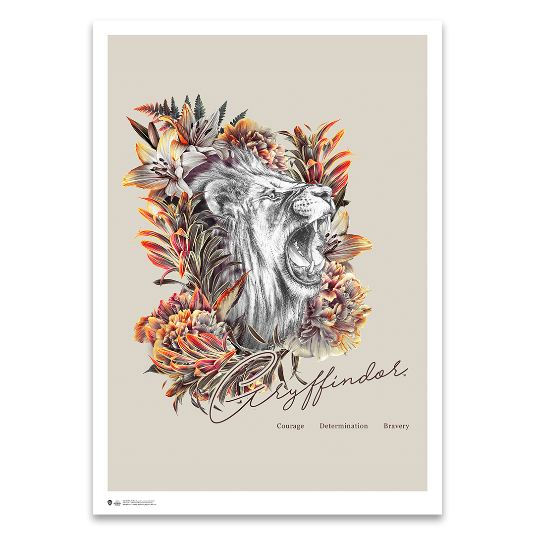 Harry Potter Griffindor Poster