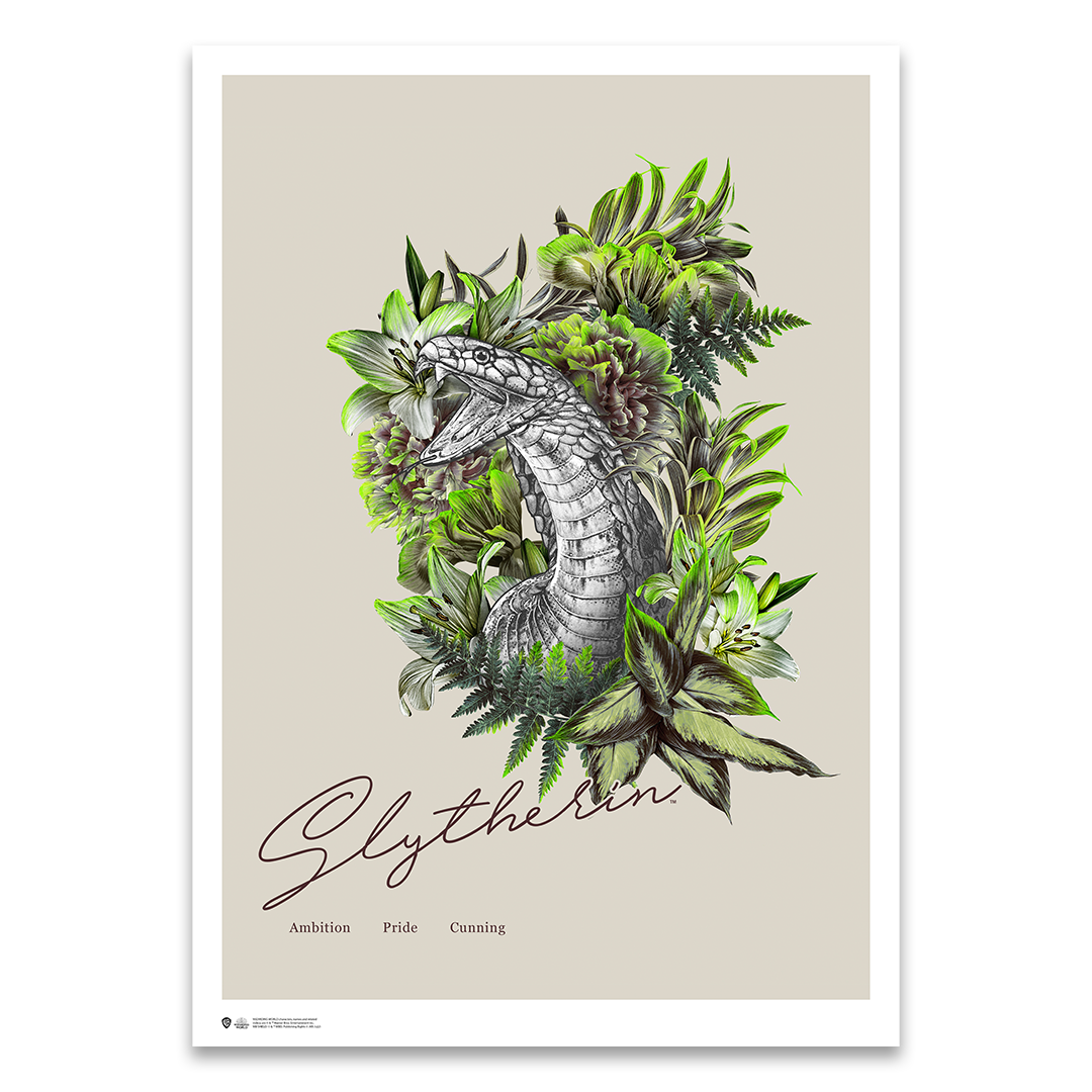 Harry Potter Slytherin Poster