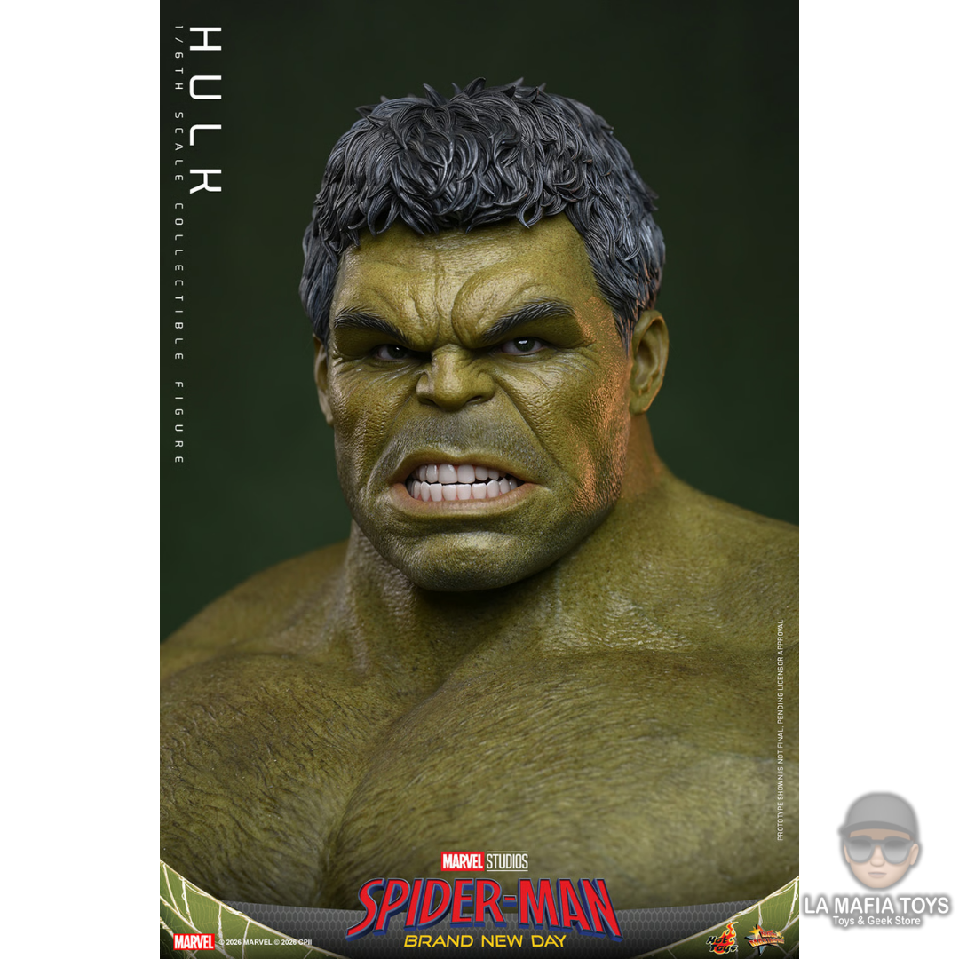 Hot Toys Hulk Brand New Day