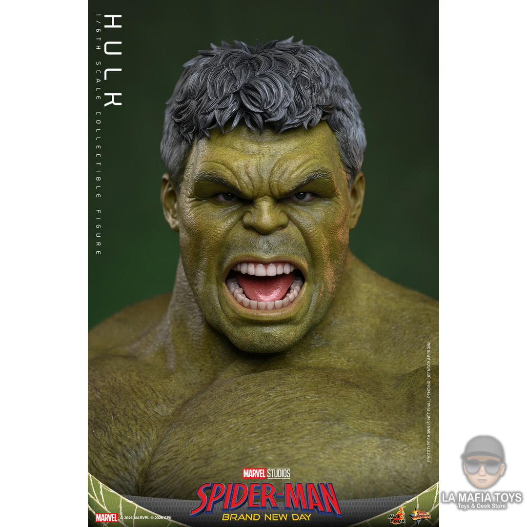 Hot Toys Hulk Brand New Day