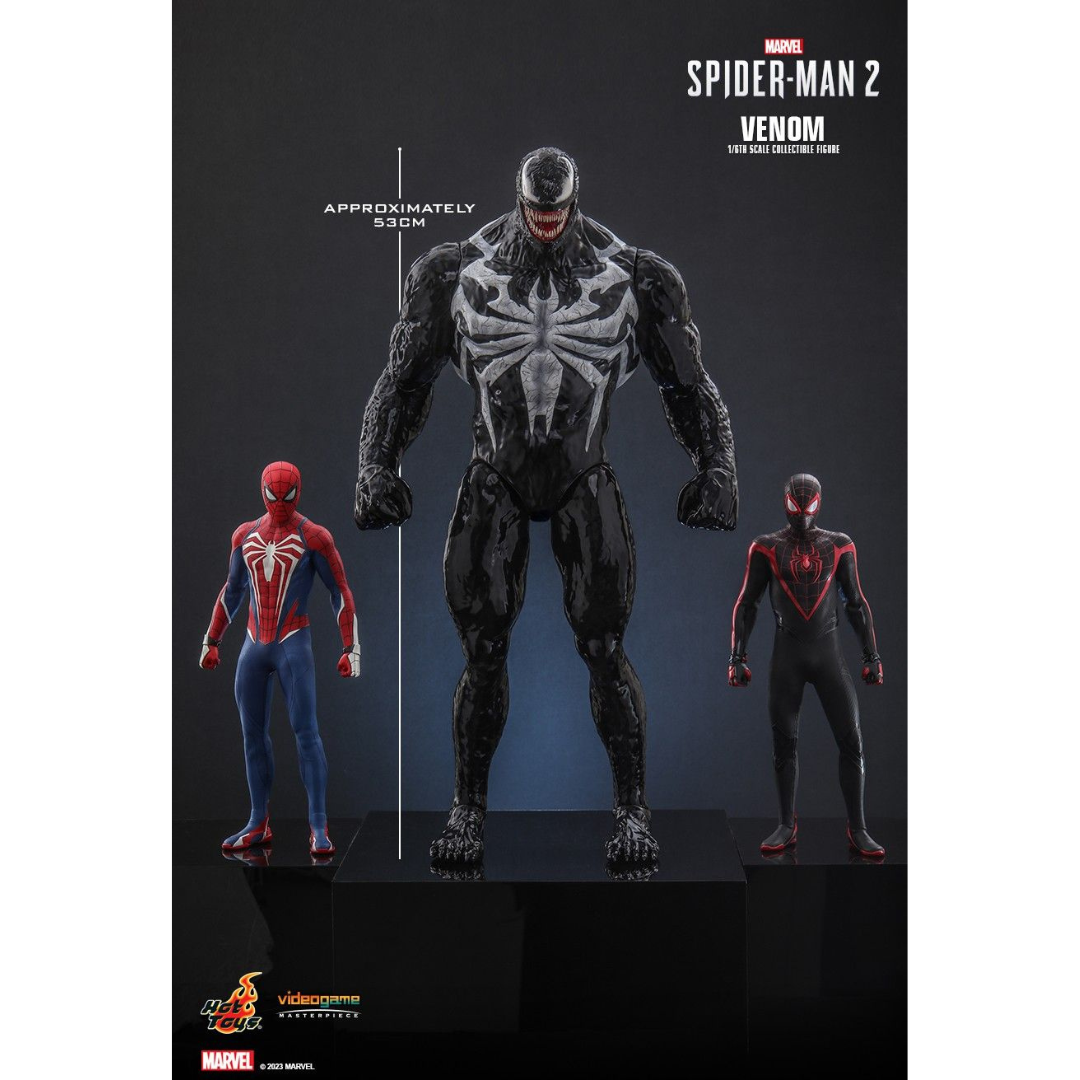 Venom Figure Hot Toys Sideshow Marvel Spider Man 