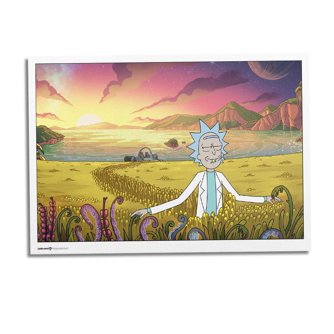 Rick And Morty Space Sunset Poster