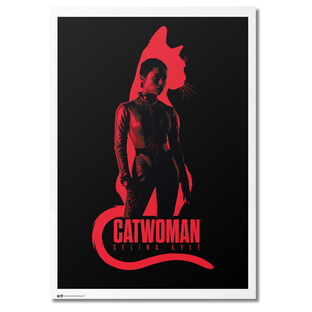 Batman : Catwoman - Poster Exclusivo